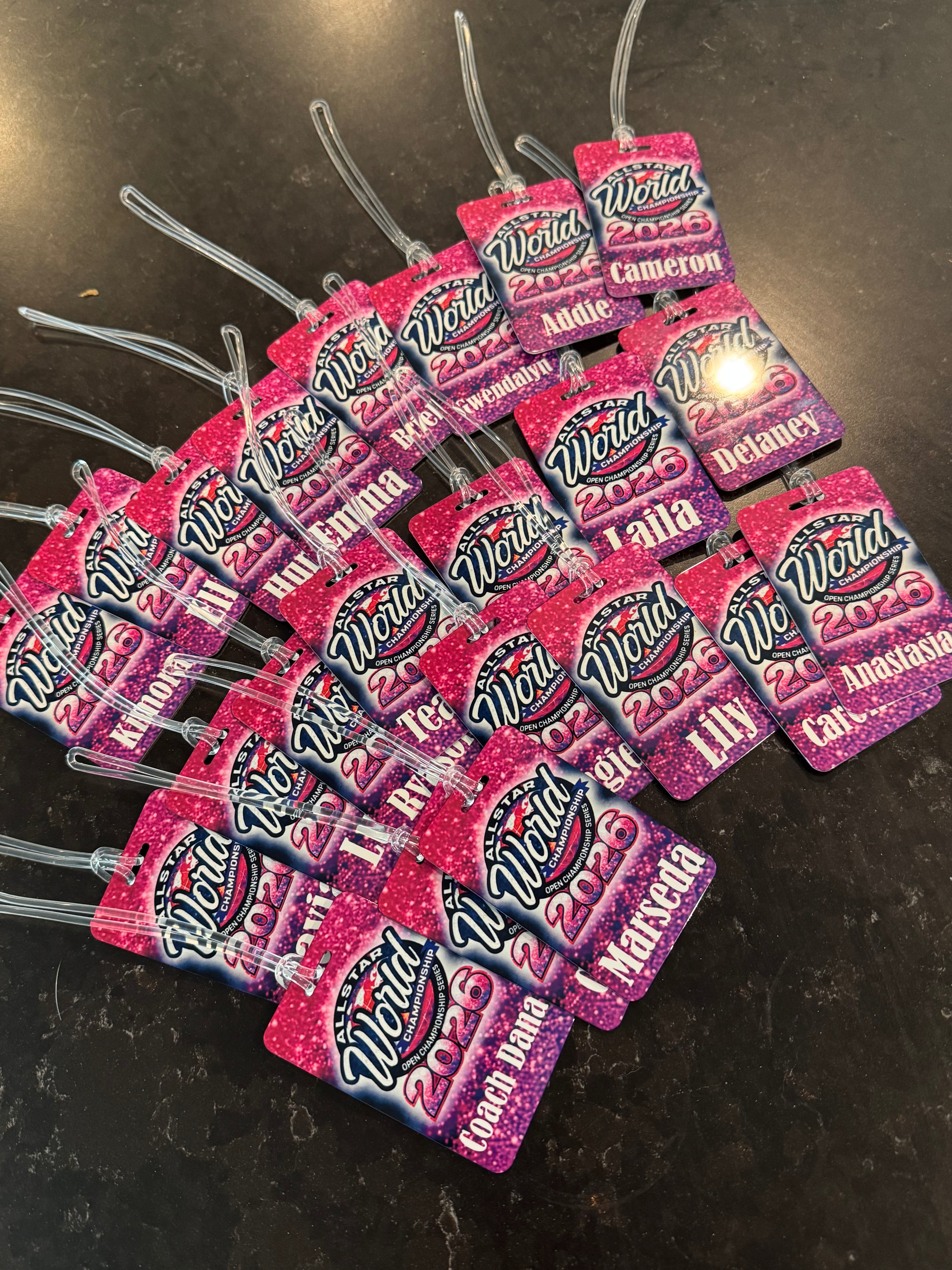 Metal Luggage/Bag Tags
